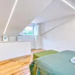 Salvador Apartamento