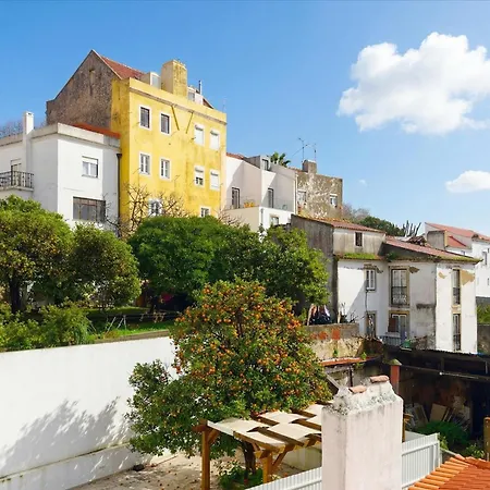 Salvador * Lisbon